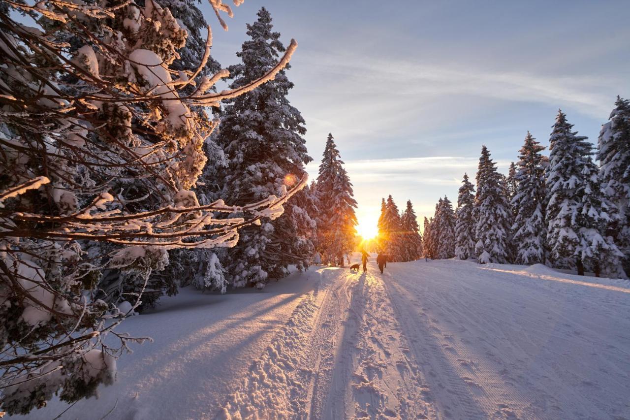 Rogla - Hotel Rogla Resnik エクステリア 写真